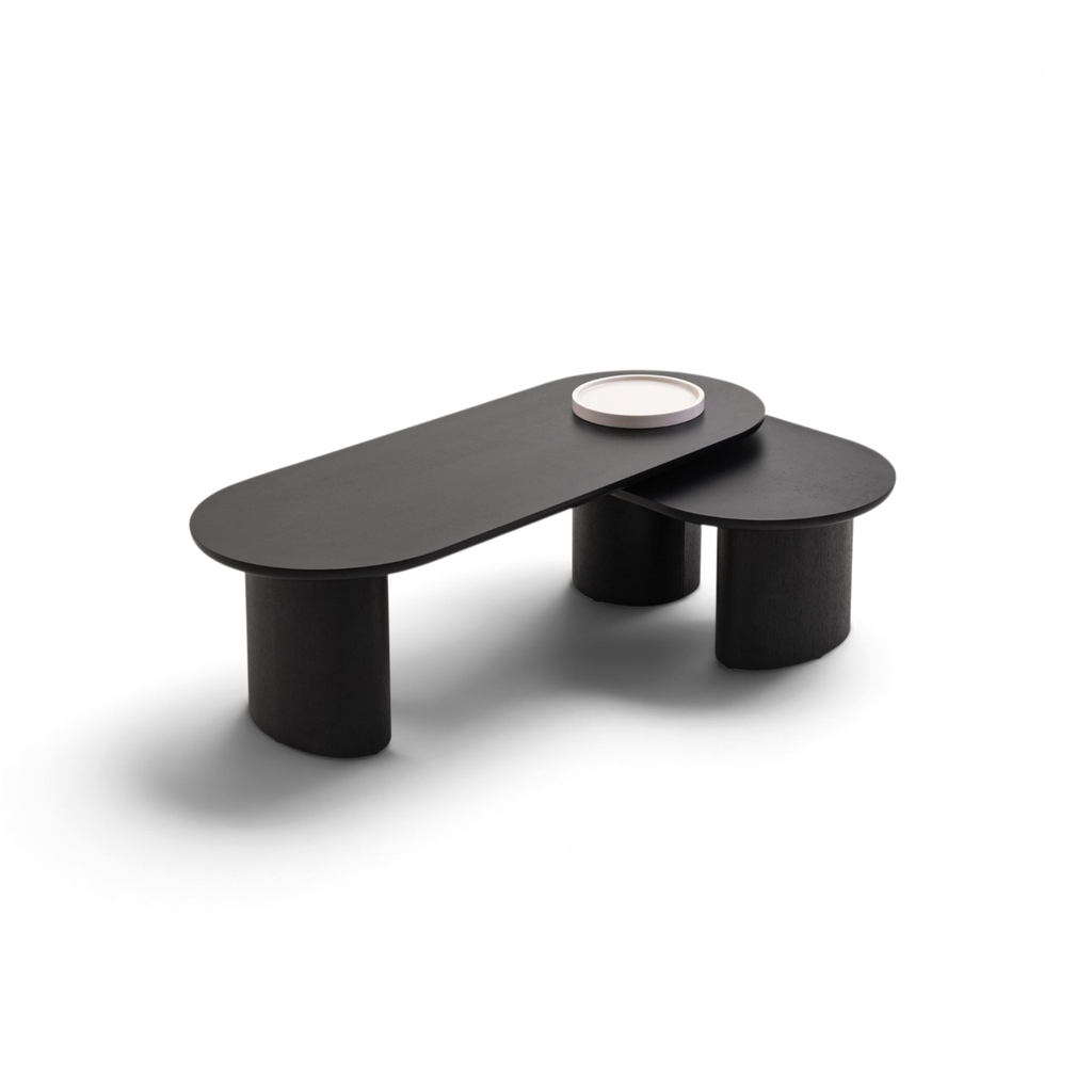 Mesa de centro CT-0358A, 120 × 47.7 × 37.5 cm, con chapa de roble negro y acabado beige.